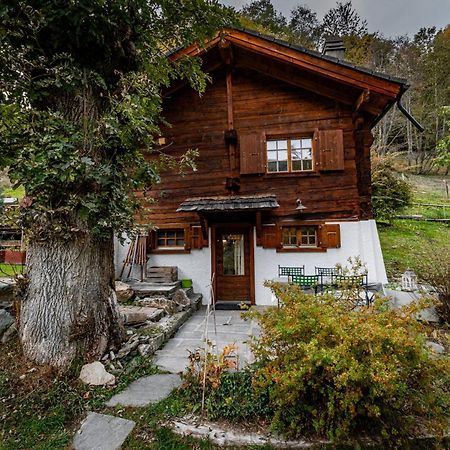 Chalet Les Rindes Nendaz Εξωτερικό φωτογραφία