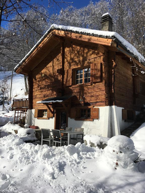 Chalet Les Rindes Nendaz Εξωτερικό φωτογραφία