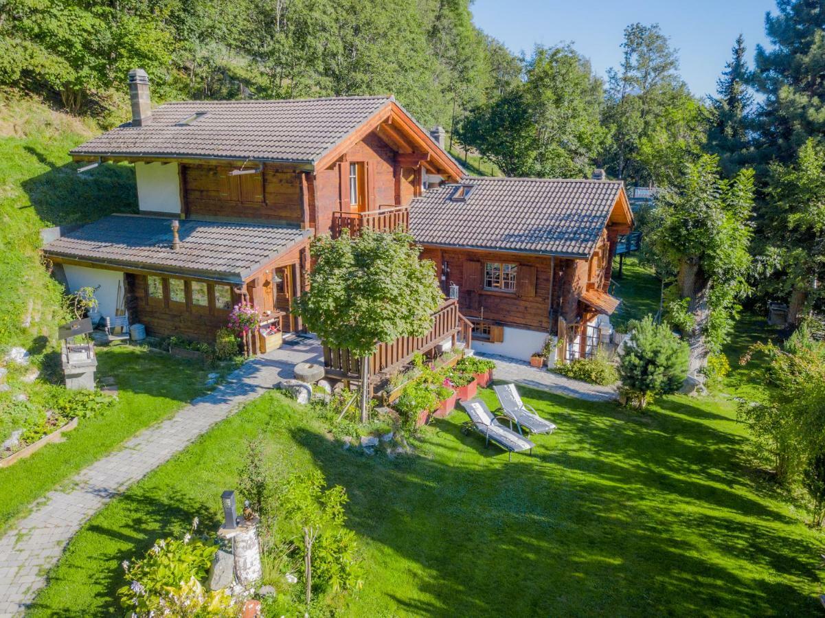 Chalet Les Rindes Nendaz Εξωτερικό φωτογραφία